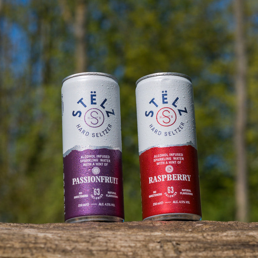 Stëlz Hard Seltzer 6-pack