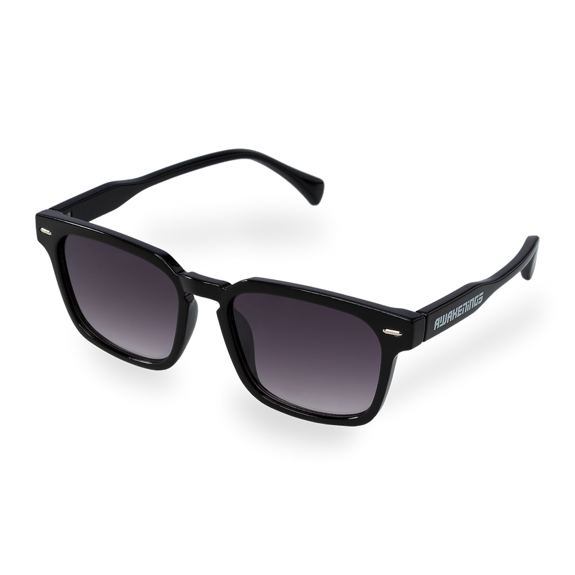 053. Sunglasses Classic black